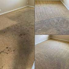 the 1 carpet cleaning in irvine ca