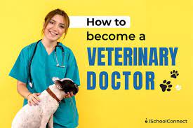 veterinary doctor 6 things you should