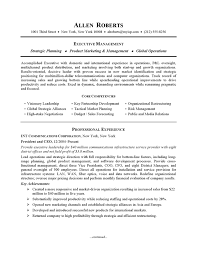 Resume Writing Services   CV   Bio data   Naukri com Resume Example