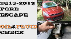 check oil and fluids ford escape 2016