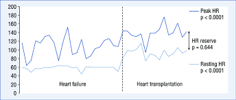 resting heart rate peak heart rate and