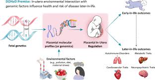 placental genomics ates genetic