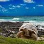 Galapagos Islands tour packages from www.affordabletours.com