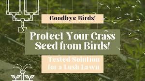 protect your gr seed from birds