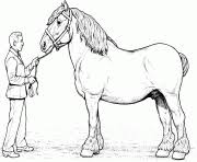 Image en coulere cheval au pat a imprimer gratuit : Coloriage Cheval Dessin Cheval Sur Coloriage Info