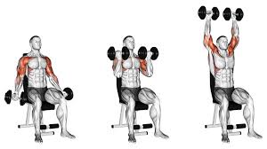 dumbell excerices for building m