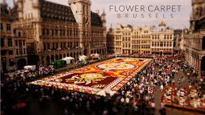 famous flower carpet in brussels