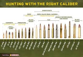 Rigorous Bullets Caliber Chart Rifle Cartridge Sizes Calibre