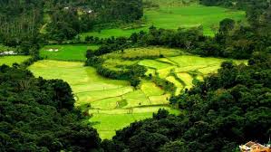 coorg sightseeing tour 3n 4 days coorg