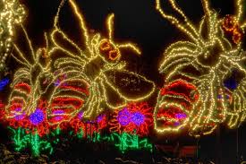 Save big bucks w/ this offer: Holiday Light Shows At Botanical Gardens Hgtv