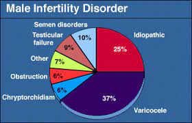 Halal and haram in islam. Hiding Infertility Before Marriage Islamicanswers Com Islamic Advice