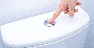 It is also durable and will last for a very long while. 7 Best Flushing Toilets Ideas Flushing Flush Toilet Toilet