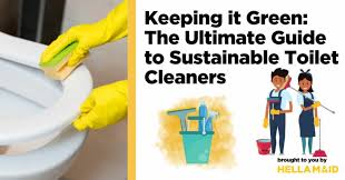 Sustainable Toilet Cleaners Guide To