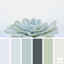 Color Palettes Aka Design Seeds
