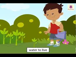 clean water environmental stus