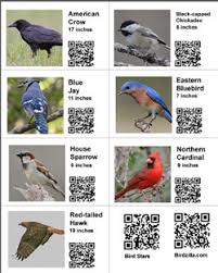 Free Bird Education Tools For Teachers