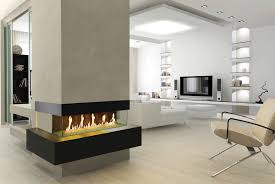 fireplaces the fire place ltd