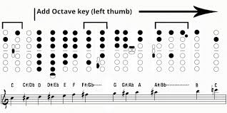 Alto Sax Finger Chart For Beginners Pdf Www