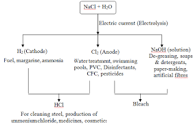 Synopsis Cbse Class 10 Science