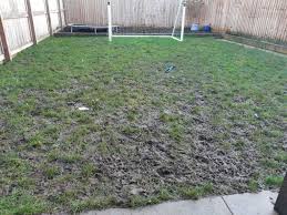 how to fix a muddy lawn in winter