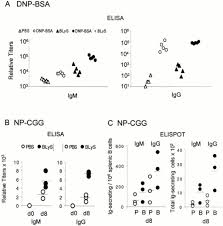 Blys Enhances Antibody Response To Dnp Bsa And Np Cgg Open I