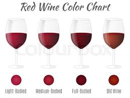 Red Wine Color Chart Hand Drawn Wine Stock Vector