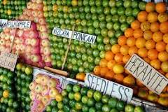 what-is-citrus-festival-in-nueva-vizcaya
