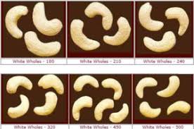 Cashew Sizes Related Keywords Suggestions Cashew Sizes