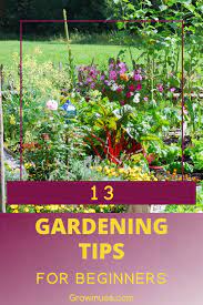 13 Essential Gardening Tips For