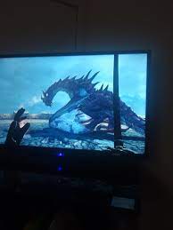 Odahviing bug please help I used dragon rend to get him down but he won't  come inside or talk to me. : r/skyrim