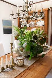 decorating with houseplants finding
