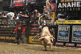 bull riding wallpapers 62 images