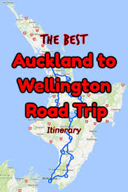 auckland to wellington drive options