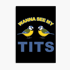 Wanna see my titties