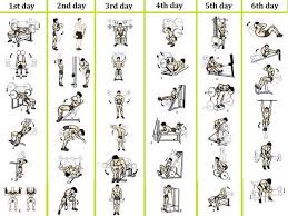 Best 6 Day Workout Routines For Men No 1 Bodybuilding And
