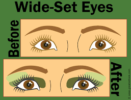 wide set eyes and close set eyes