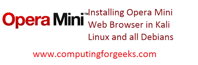 What exactly is opera mini for pc? How To Install Opera Mini Updated In Debian Kali And Ubuntu Computingforgeeks