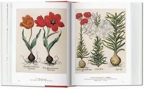 botanical ilration 40th edition