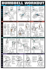 Dumbbell Workout Charts Home Fitness