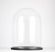 Large Glass Display Cloche Dome