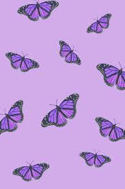 Aesthetic butterfly backgrounds aesthetic butterfly wallpapers. Aesthetic Purple Butterfly Wallpapers Wallpaper Cave