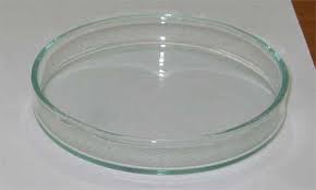 Petri Dish Wikipedia