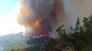 Marmaris'te orman yangını 21. saatinde - Dünya Gazetesi
