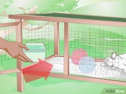 How To Build An Outdoor Rabbit Cage 10