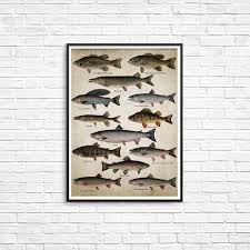 Fishing Angling Wall Art Canvas Posters