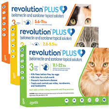 revolution plus topical solution for