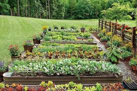 Vegetable Garden Design Important
