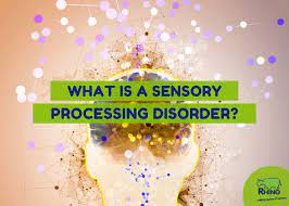 what is a sensory processing disorder