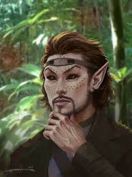 Also can be purchased from erdna nidnarb in whiteruns warmaiden's store. M Half Elf Druid Light Armor Circlet Male Jungle Trail Oct 2018 By Arttair Deviantart Lg In 2020 Elf Art Character Portraits Character Art