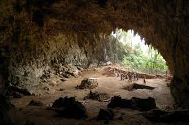 Hábitat donde vivió Homo floresiensis, el "homínido enano
